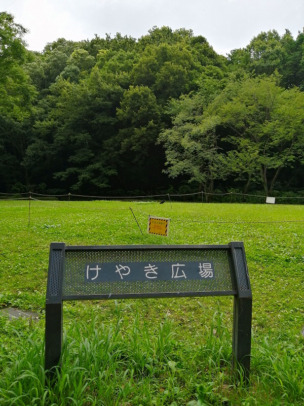 東高根森林公園ケヤキ広場