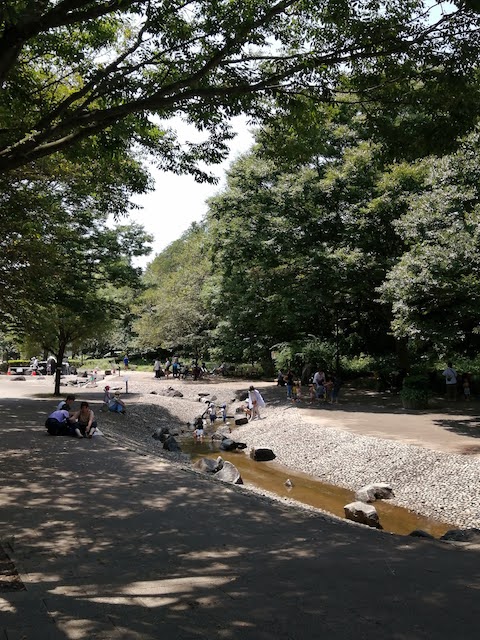 三ツ池公園水の広場水路