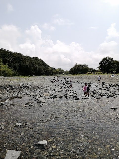 神奈川県立肌の戸川公園水無川川遊び