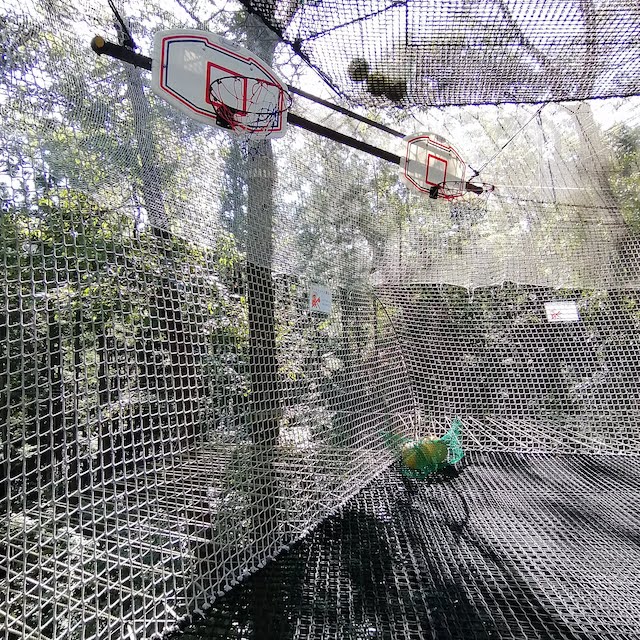 森の空中あそびパカブバスケットボール