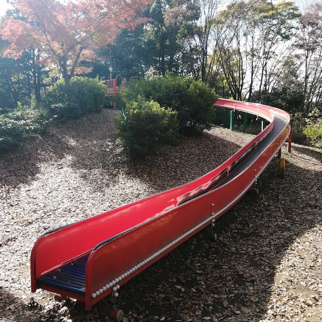 昭和記念公園こどもの森空のすべり台