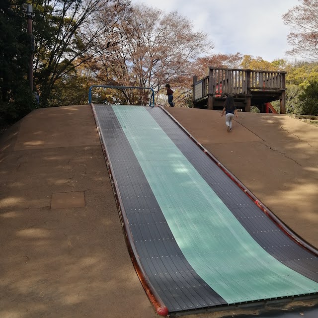 昭和記念公園こどもの森空のすべり台